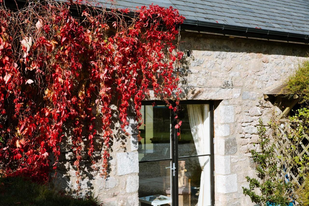 Higher Weddicott Barn Holiday Cottage - Self Catering تشاغفورد المظهر الخارجي الصورة